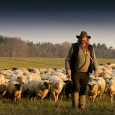 &nbsp; Viaggio a Zungoli (Avellino) sulle tracce della transumanza. Ecco l’altro documentario della serie “A Mezzogiorno”. Travel to Zungoli (Av), in the footsteps of the  transhumance. &nbsp; Per organizzare il...
