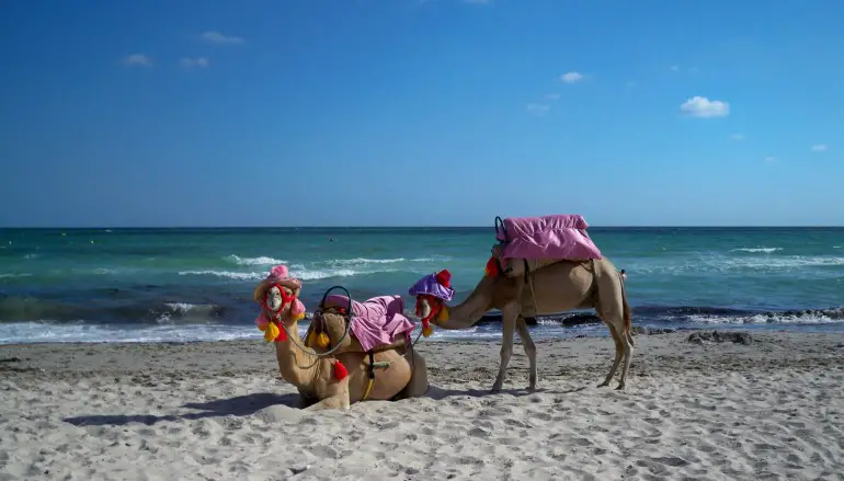 VIAGGIO IN TUNISIA