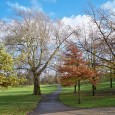 Il Greenwich Park è una delle sedi delle Olimpiadi. Oltre al parco è possibile visitare il Royal Observatory con il Primo Meridiano e il National Maritime Museum