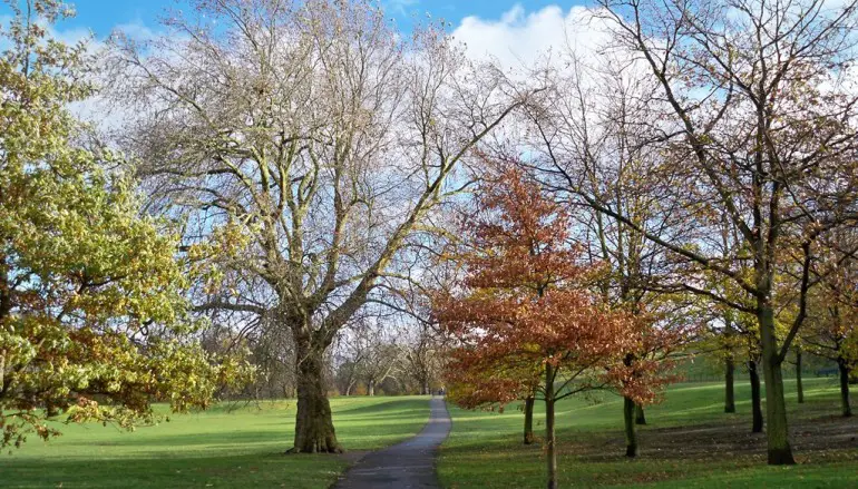 VIAGGIO A LONDRA: GREENWICH