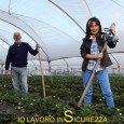 L'iniziativa prevede una campagna di sensibilizzazione rivolta a giovani imprenditori per la promozione di una cultura della prevenzione della salute in agricoltura che si fondi sui valori della trasparenza e della responsabilità. 