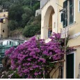 «PER SAN VALENTINO? SOLO FIORI MADE IN ITALY» Lo afferma Confagricoltura con una nota...