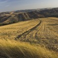 L’IRPINIA E`SEMPRE L’IRPINIA Un editoriale di Nunziante Minichiello su questa zona del Sud Italia, dove ci sono cultura, coscienza civile, solidarietà attenta e grande umanità...