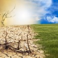 SICCITA’: BENE GLI INTERVENTI DEL GOVERNO Confagricoltura chiede che adesso le Regioni chiudano le procedure per la richiesta di eccezionale avversità atmosferica