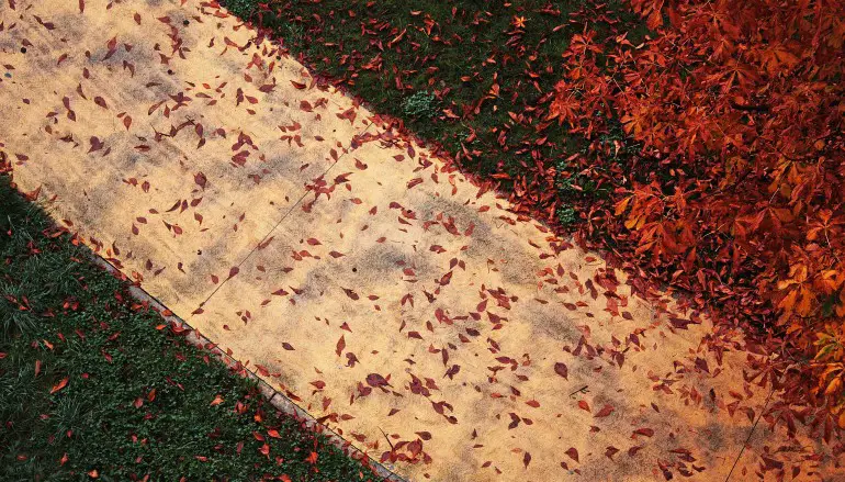 A POTENZA SI DA` IL BENVENUTO ALL’AUTUNNO