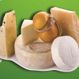 FORMAGGI, IL CONVEGNO AD AVELLINO Studiosi del settore caseario si riuniranno in Irpinia per una tre giorni di discussioni e approdonfimenti