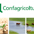 “ACQUA E AGRICOLTURA”: IL CONVEGNO Domani a Roma si discuterà dell'irrigazione come fattore di sviluppo fondamentale per il settore agricolo