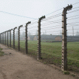 GIORNATA DELLA MEMORIA: TUTTI GLI EVENTI Da Nord a Sud, l'Italia ricorda lo sterminio nazista e la liberazione degli ebrei dal campo di sterminio di Auschwitz