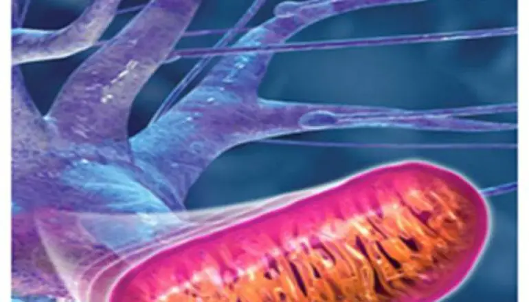 SINDROME DI DOWN, DAL TE` VERDE NUOVE SPERANZE