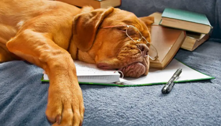 Sonno, consigli per dormine bene