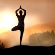 Sheepdog meditation Da noi si chiamava banalmente "pascere le pecore", una meditazione che non facciamo più, per cui siamo costretti ad andare a meditare in Scozia...