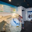 Un “tuffo” nel Museo Nazionale dell’Antartide di Genova La struttura riapre dopo un periodo di restauro...