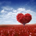 Lavorate, anzi lavoriamo con amore. Viviamo con amore. Doniamoci alla vita seguendo il flusso anche quando le cose ci sembrano difficili, anche quando il cielo si fa nero sopra di noi...