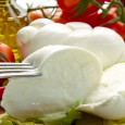 «Tracciabilità per la Mozzarella di Bufana Campana Dop» Ad affermarlo Confagricoltura con una nota...