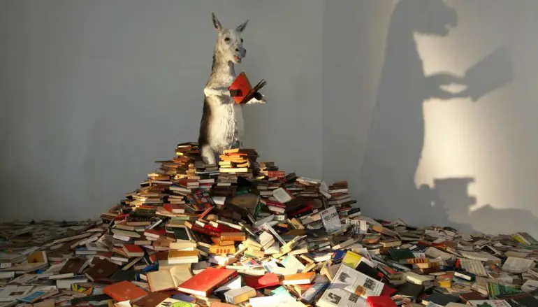 L’arte è un romanzo. Quando le parole diventano immagini