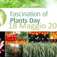 In arrivo la giornata dedicata al mondo vegetale Torna anche quest’anno il “Fascination of Plants Day”, l’evento internazionale fissato per sabato 18 maggio per sensibilizzare l’opinione pubblica sul tema della bellezza e del valore del mondo vegetale...