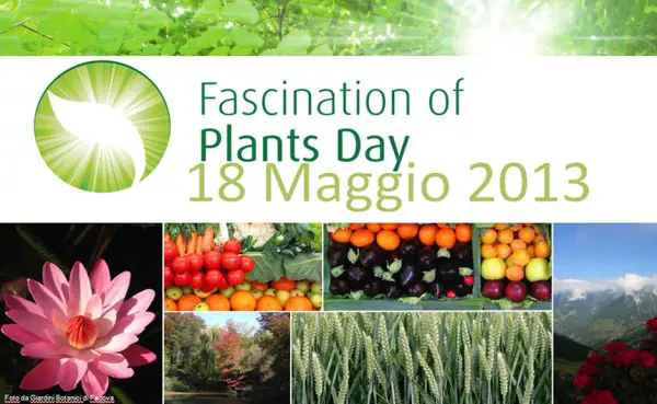 Fascination of plants day
