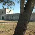 In Terra d’Arneo un nuovo premio giornalistico Si chiama Premio giornalistico internazionale “Terre del Negroamaro” ed è un riconoscimento messo in palio dal GAL Terra d’Arneo e organizzato con l'obiettivo di valorizzare il Negroamaro...