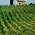 Un'occasione per conoscere meglio le etichette del Chianti Classico. Street food, cucina del territorio, musica, degustazioni ed eventi in programma dal 24 maggio al 2 giugno...