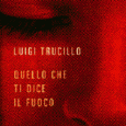 "Quello che ti dice il fuoco" è un romanzo coinvolgente il cui protagonista è ossessionato da un amore di luci e ombre...