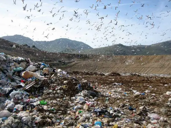 come ridurre i rifiuti plastica fa male