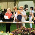 Torna anche quest'anno la tre giorni di “Olio e Dintorni”, l'evento giunto alla sua nona edizione e in programma da venerdì 24 a domenica 26 maggio a Villa Maseri, a Oleis di Manzano (Udine)...