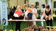 Manzano: un week-end dedicato all’olio Torna anche quest'anno la tre giorni di “Olio e Dintorni”, l'evento giunto alla sua nona edizione e in programma da venerdì 24 a domenica 26 maggio a Villa Maseri, a Oleis di Manzano (Udine)...