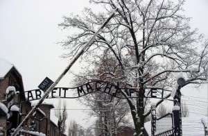 Auschwitz - @Saforrest