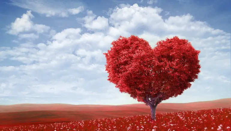 cercare amore online subtitulada