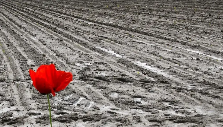 Non farti condizionare dagli altri e dai modelli