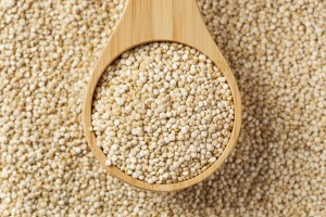 Quinoa Bianca