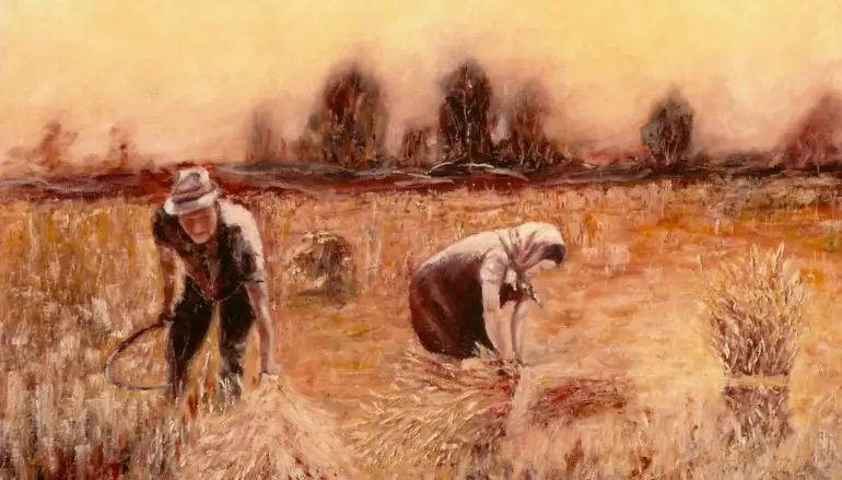 Frumento: i benefici del Grano Duro e Tenero