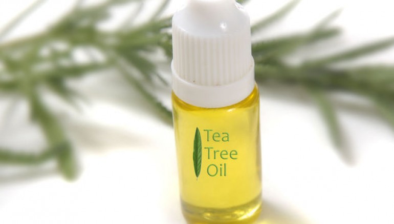 Tea Tree, tutti gli usi dell’olio essenziale
