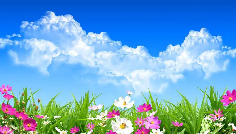 E’ arrivata la Primavera 2017: come aiutare il corpo a rinascere