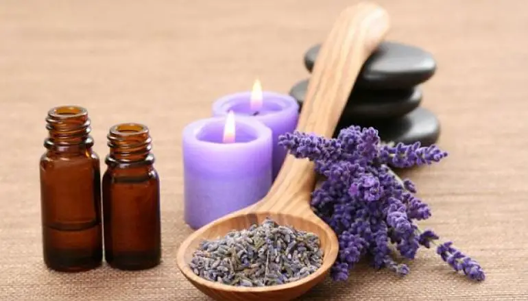 Gli oli essenziali tra sensi, antica alchimia e modernità