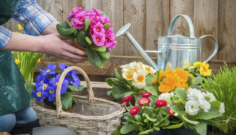 Il Giardinaggio che rigenera: la mia vita senza iPhone