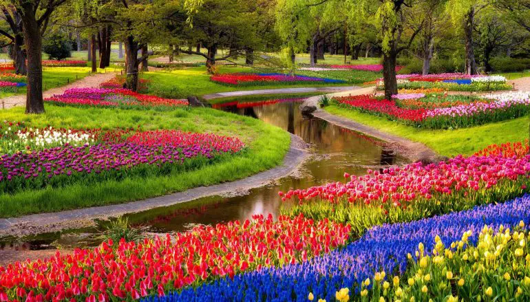 Se desideri che il tuo giardino sia fiorito impara a prendertene cura