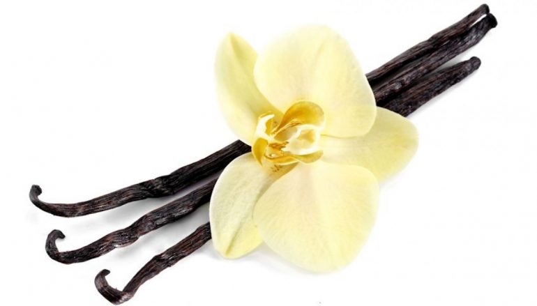 Vaniglia, tutto sull’olio essenziale