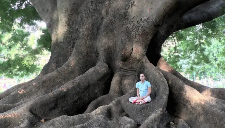 Meditazione: tutti i benefici ed un esercizio per rilassarti