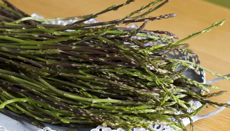 Asparagi: proprietà, controindicazioni e consigli su come cucinarli