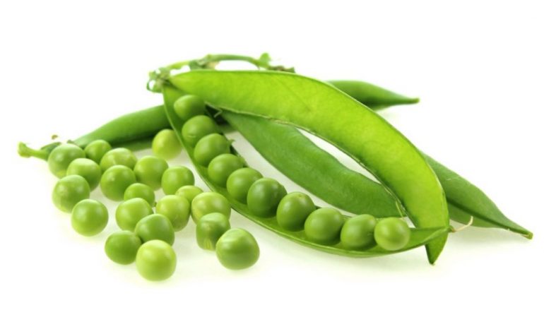 Fave: le proprietà e qualche curiosità su questo prezioso legume
