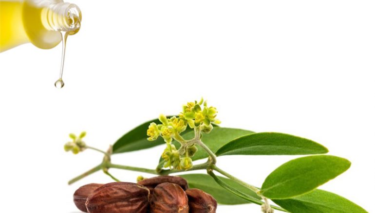 Olio di Jojoba: proprietà e usi su pelle grassa-mista e capelli