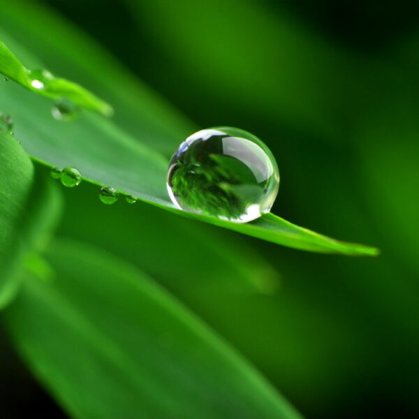 acqua termale