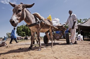 Foto: WFP/Rein Skullerud