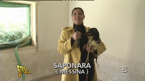 petix case saponara