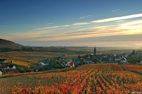 Route des Vins @ fanpage  Alsace