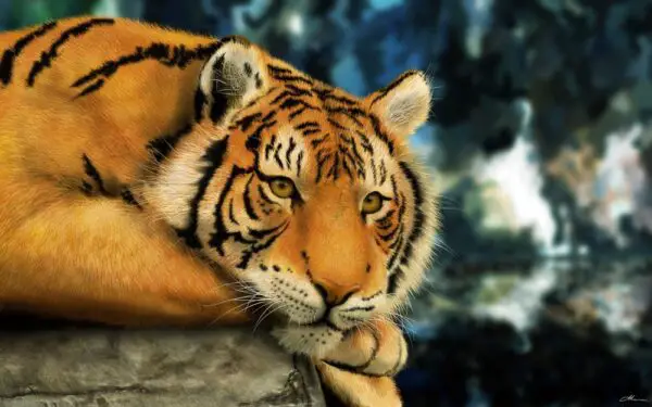 tigre