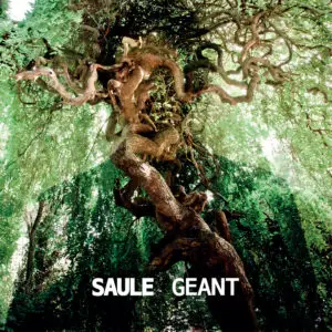 saule album