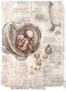 Feto nell'utero materno. Royal Collection, Windsor