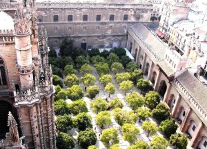 Patio de los Naranjos